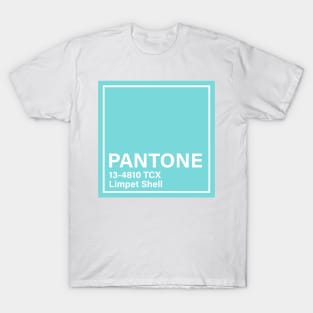 pantone 13-4810 TCX Limpet Shell T-Shirt